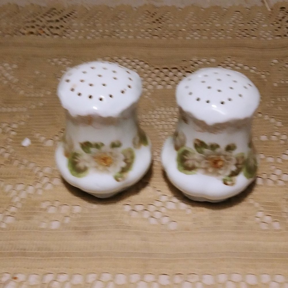 beautiful vintage floral bisque china salt and pepper shakers